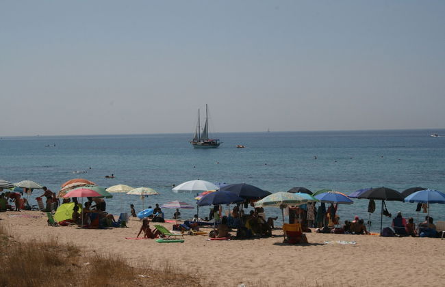 Villa Luisa - Photo 50