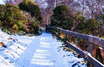 East Wing Apartment in Elgin - Foto 81