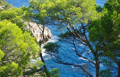 Grande villa familiale vue mer avec piscine - domaine privé à St Cyr sur Mer - Foto 79