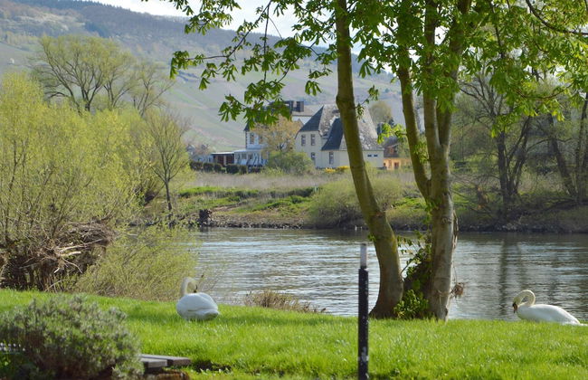 Classy Holiday Home in Rzig near Forest - Photo 38