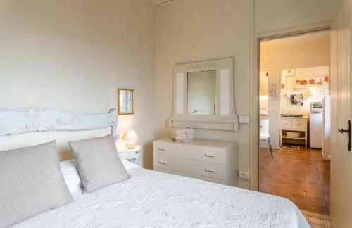 Sassi Scritti - Acero Montano - Foto 14