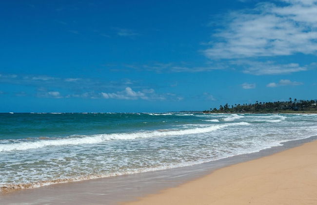 Wailua Bay View 302 - Photo 27