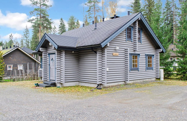 Kuukkeli - Photo 2