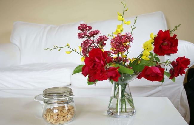 Apartment in Montbrun-les-bains Near Forest - Foto 53