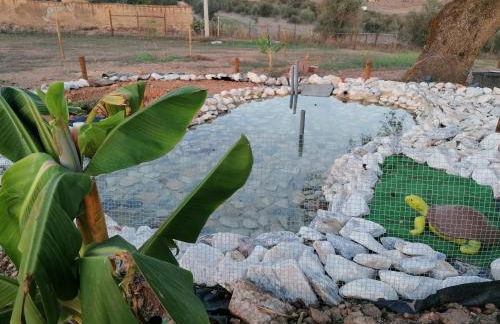 Monte Beatriz - Foto 9