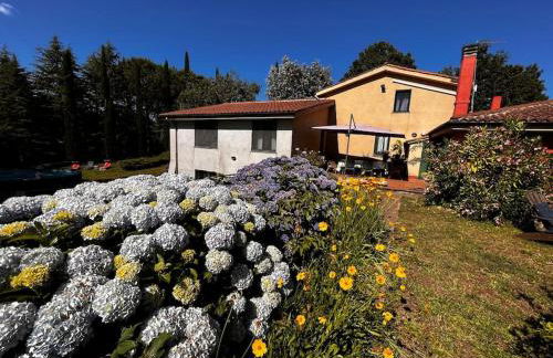 Holiday Home Serrari - Foto 23