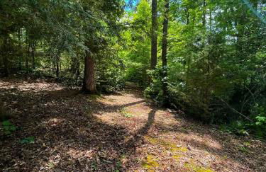 Tiny House, WIFI,Hot tub,Secluded - Foto 23