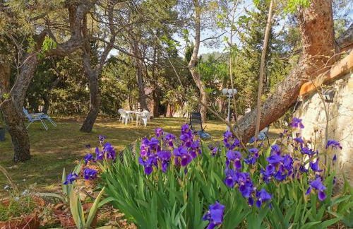 La Pinède - Foto 10