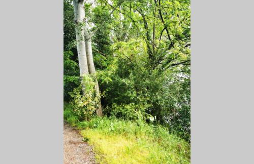 Cocon - 2pers - parking - aéroport - MEET - Photo 18