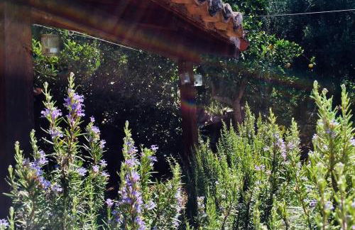 Vounaki Seaside Dreamland! - Foto 71