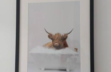 Lottie’s Cottage, Rhynie, Aberdeenshire - Photo 23