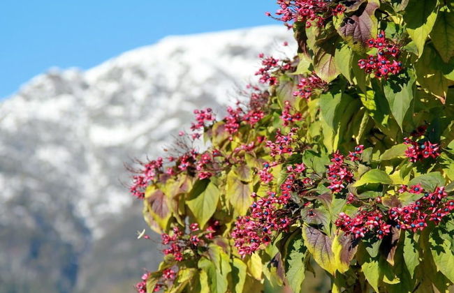 Cascina del Forte - Photo 25
