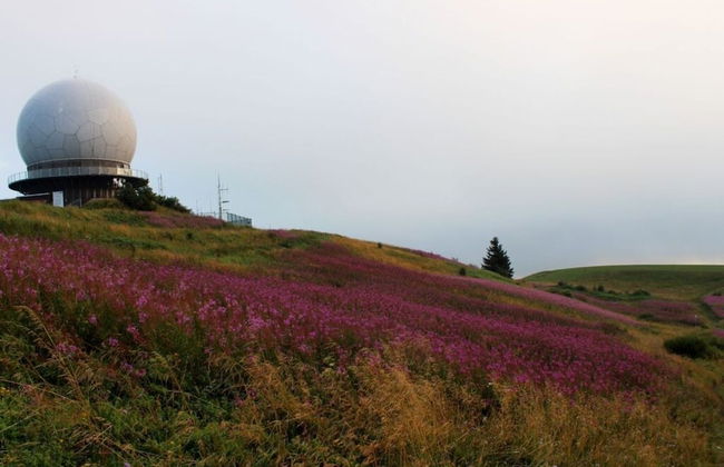 Apartment in Olsberg - Foto 22