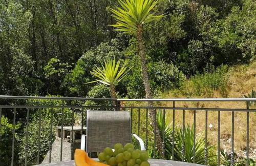 Apartments Kuzma - Foto 11