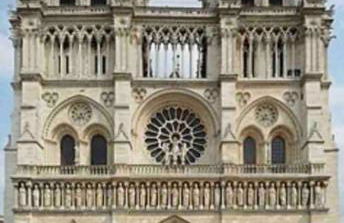 Jungle Chic - Foto 27