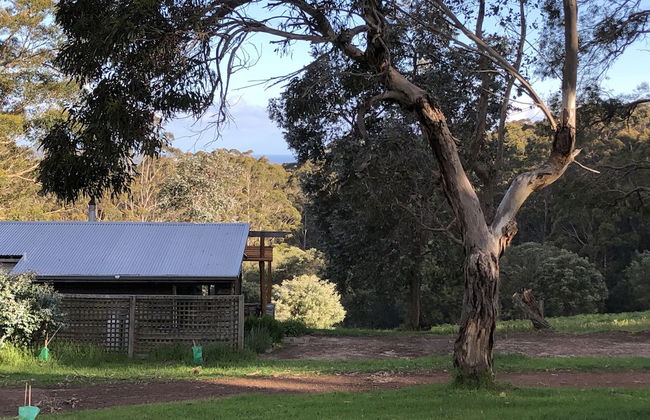 Turicum Chalets AT Monkey Rock Winery - Photo 7