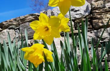 Agriturismo Zertin - Foto 36