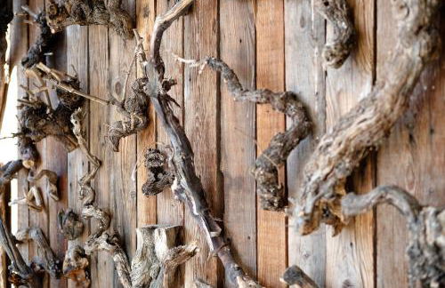 Verger Plein Soleil di Piero - Foto 25