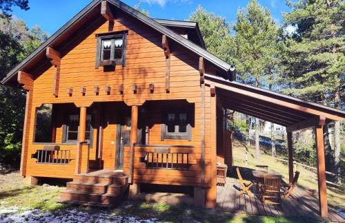 El Pi Solitari - Photo 45