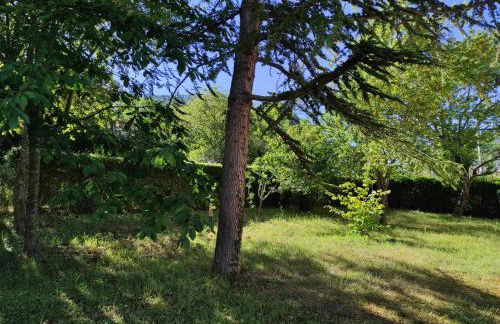 Le Nopal Bleu - Foto 27