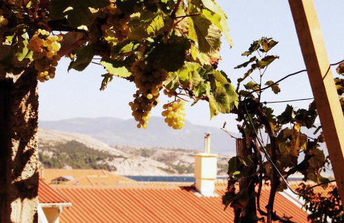 Apartments Lili - Photo 11