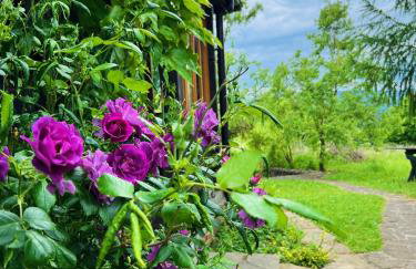 DOMEK LUBENIA - Foto 23