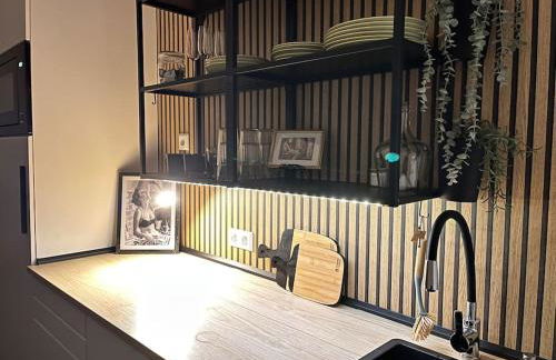 Zentrale Stadtwohnung, Bahnhofsnähe, OG-Krankenhaus, OG-Messe, EuropaPark - Foto 14