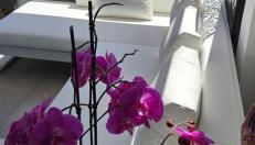 Oltre l'essenza del mare - Foto 4