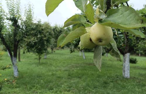 Domek nad Wartą - Foto 28