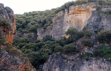 Casas Rurales Cortijo Bellavista - Foto 41