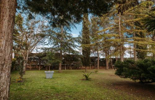 Villa Cercis - Puglia - Foto 71