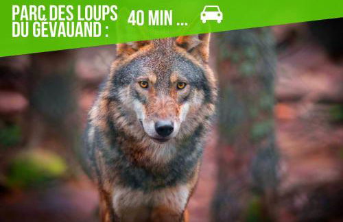 Le CosyGreen - Central/Netflix/Wifi Fibre - Séjour Lozère - Foto 27