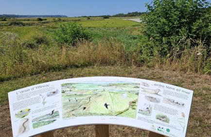 O nid des greves - Foto 41