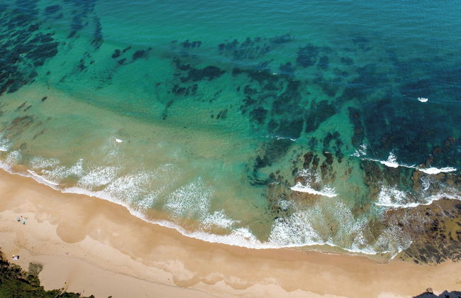 BIG4 Aireys Inlet - Foto 1