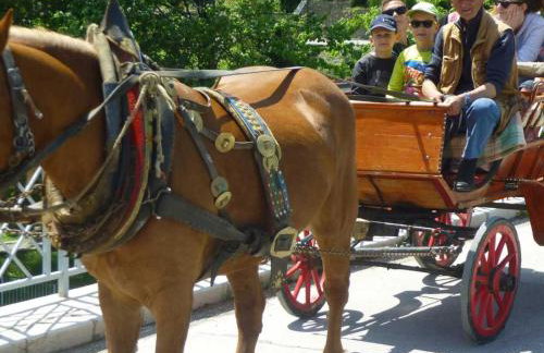 Terra Magica Deluxe Apartment OR Room with Private Parking, Terrace and Sea View - Foto 63