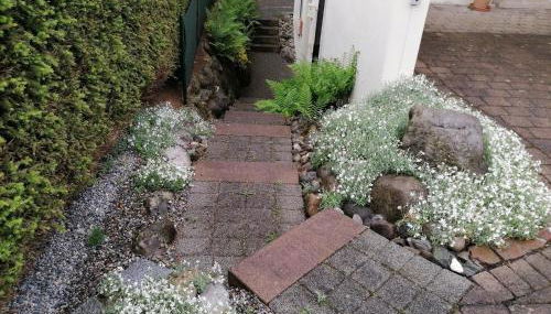 Ferienwohnung "Am Seebach" - Foto 5