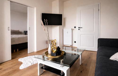 Royal Haus Chemnitz 3- Balkon nahe Zeisigwald - Photo 20