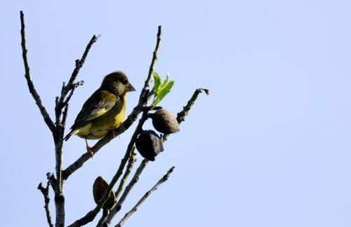 Delightful, Authentic Quinta with Swimming Pool near Beach & Towns - Foto 70