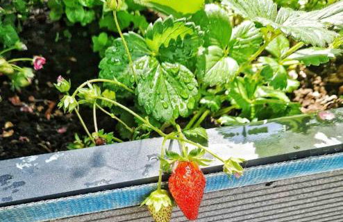 La Mia Storia With Hot tub - Foto 113