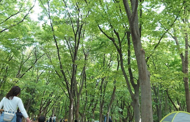 Port HOUSE - Foto 58