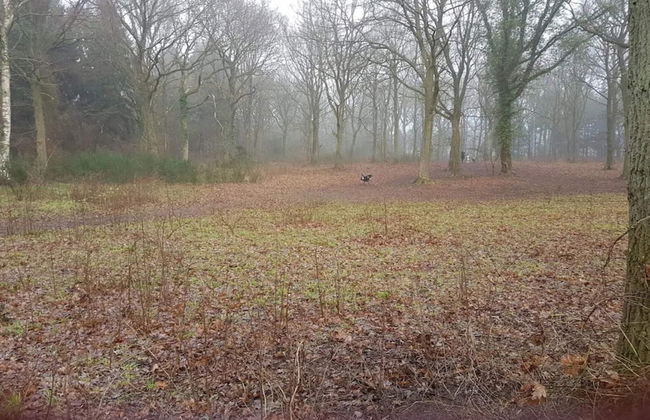 5 Person Holiday Home in Kolind - Photo 9