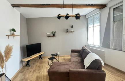 Bel appartement 2-4 pers Centre-ville Netflix - Foto 7