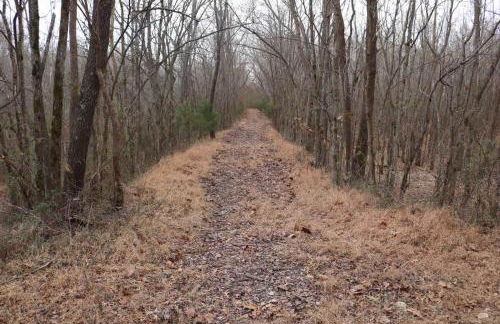 The Varnadoe Villa- Farm Stay - Foto 56