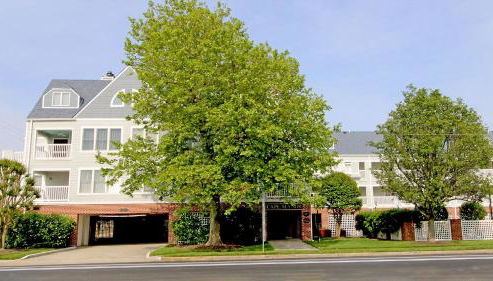 Cape Manor Unit #209 - Foto 2