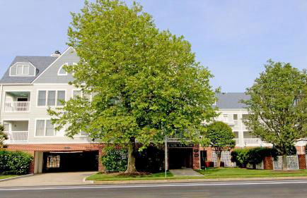 Cape Manor Unit #209 - Foto 2