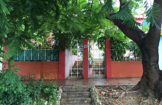 Holiday rental in Havana with garden and terrace - Photo 12