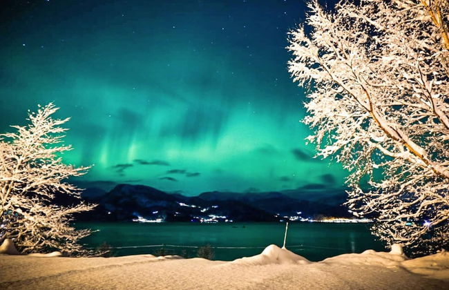 12 Person Holiday Home in Davik - Foto 73