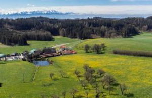 Ferienhof Broger FeWo Bergblickle mit Pool - Foto 34