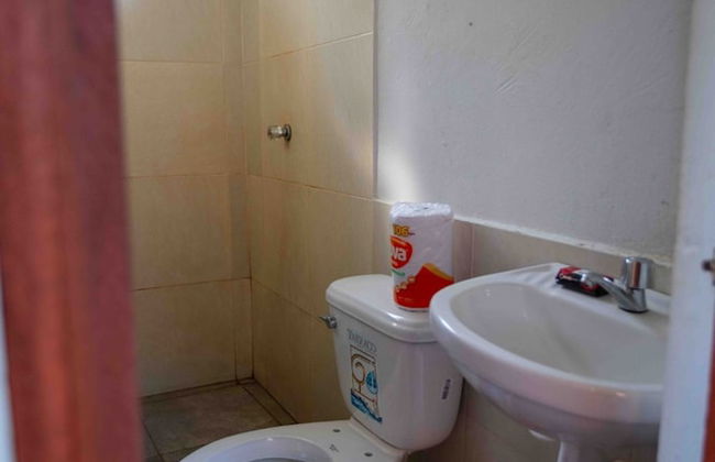 La Casa del Ayahuasca - Luz del Amazonas - Foto 7