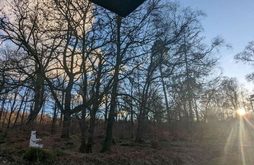 Westmains Lodge - Foto 25